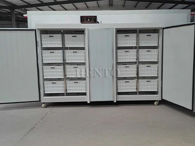 Mung Bean Sprout Machine Mung Bean Sprout Machine